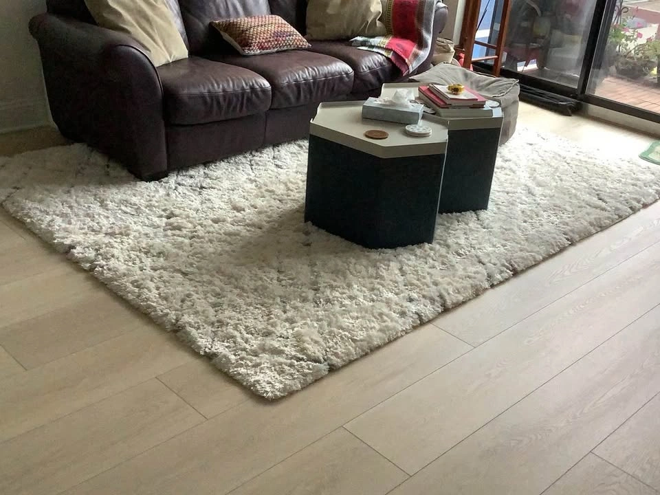 Ivory Plush Shag Area Rug 6'7" x 9'2" - Excellent Condition - photo 4