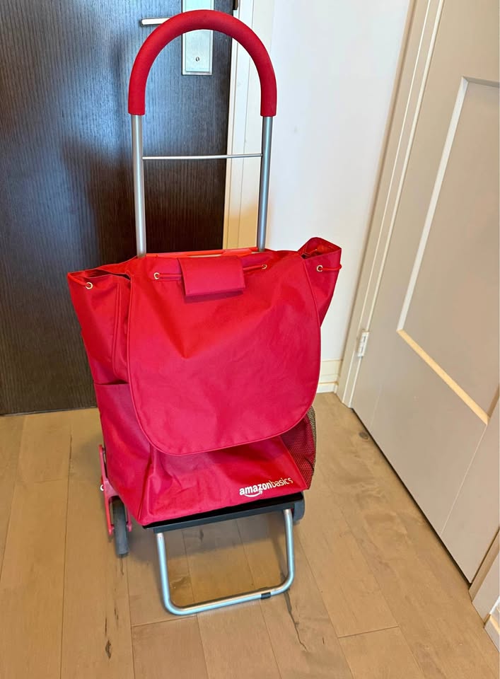 Shopping Cart/ Dolly