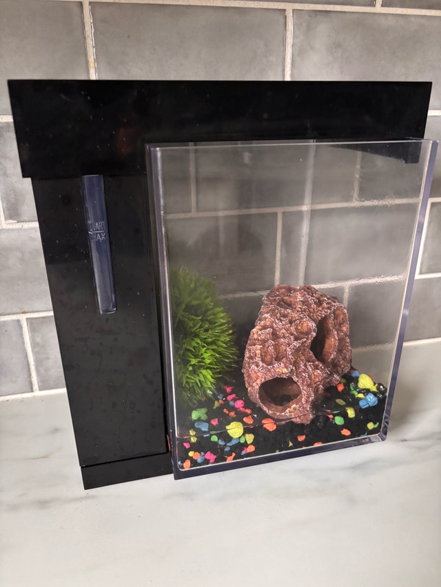 Self Cleaning FISH TANK