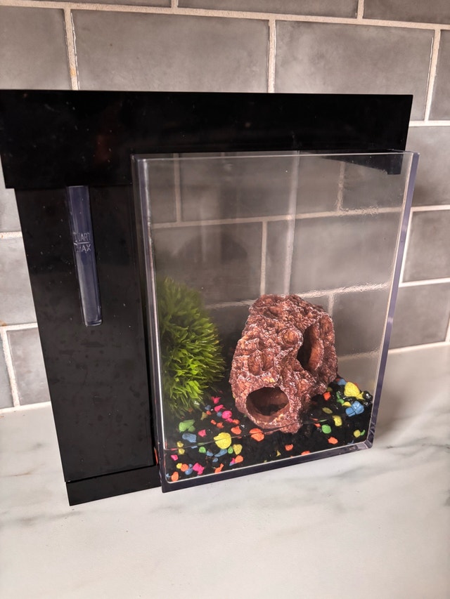 Self Cleaning FISH TANK - photo 2