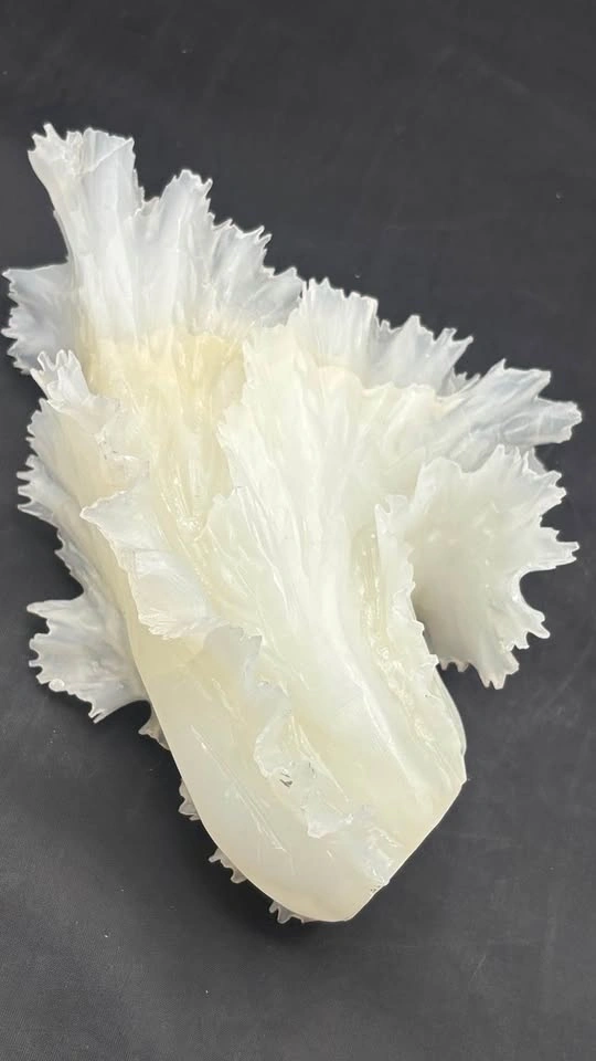 Hardstone Nephrite Jade Cabbage Carvings – Pair or Individual - photo 3