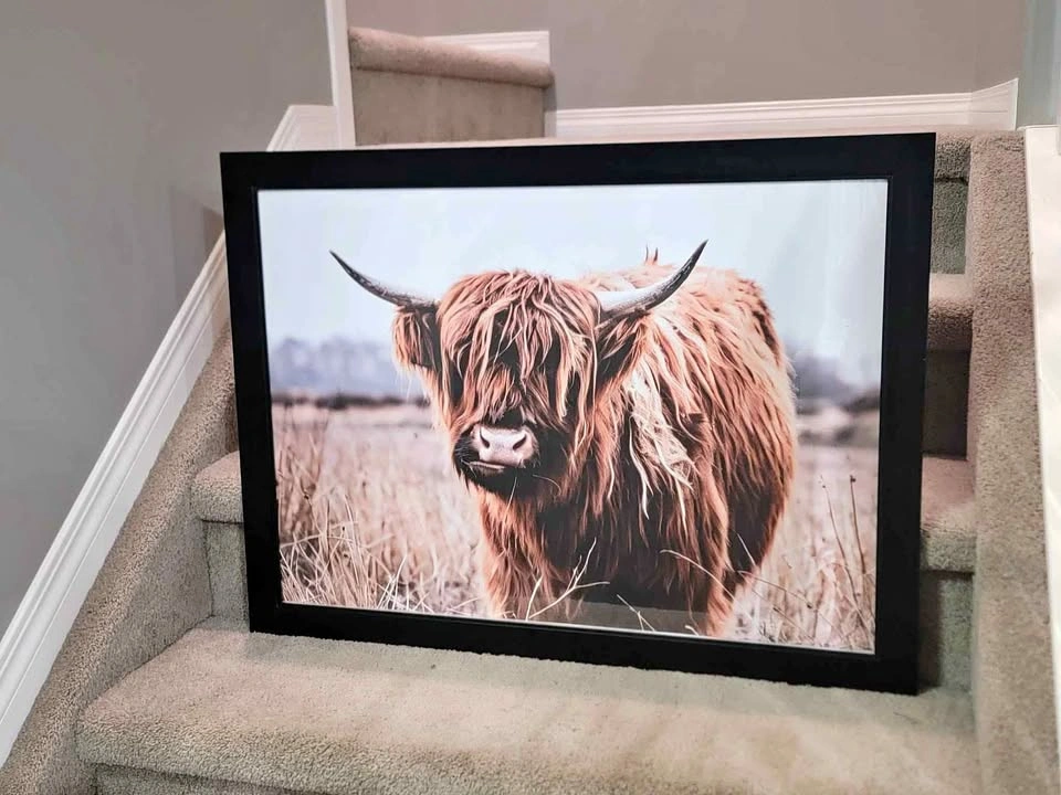 Large Highland Cow Framed Wall Art