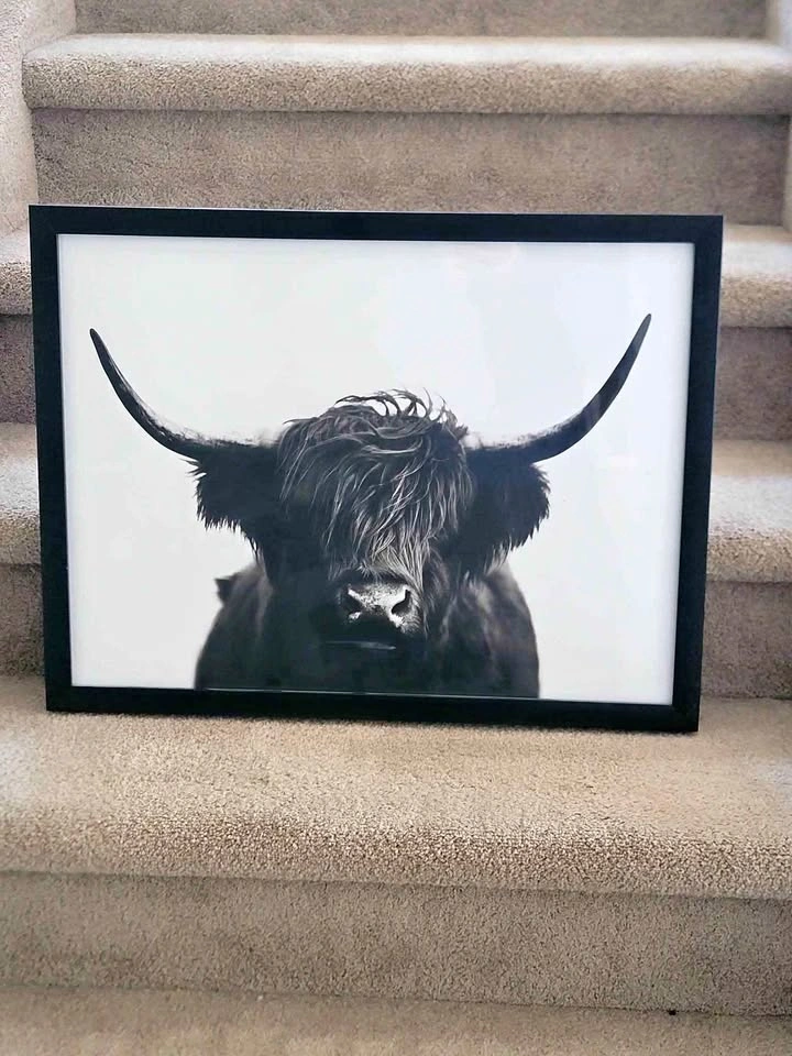 Framed Highland Cow Wall Art