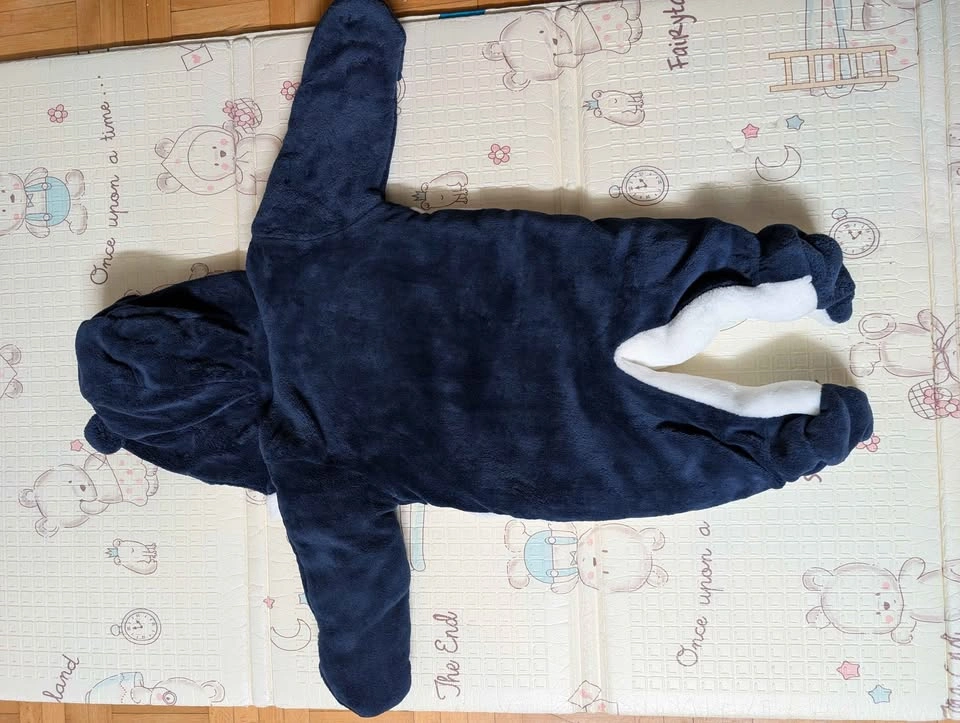 First Wish Baby Bear Snowsuit - photo 2