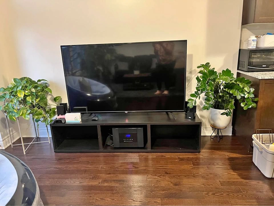 Complete Entertainment Bundle: RCA 65" TV, Media Stand & Sound