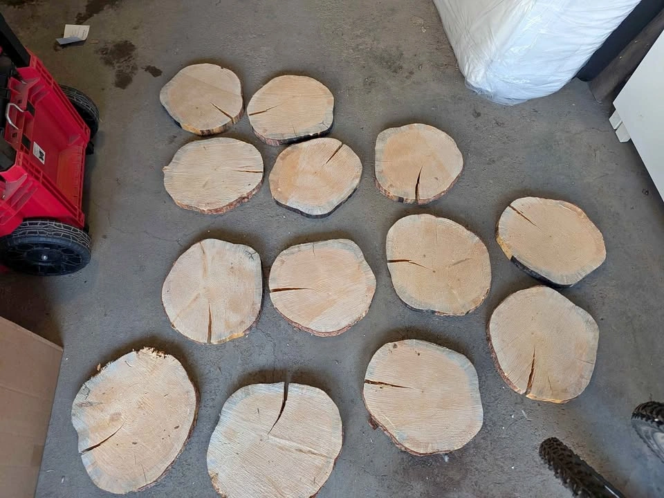 10"-12" Log Coins, ~1.5" thick