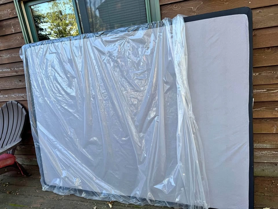 Sealy Queen Box Spring