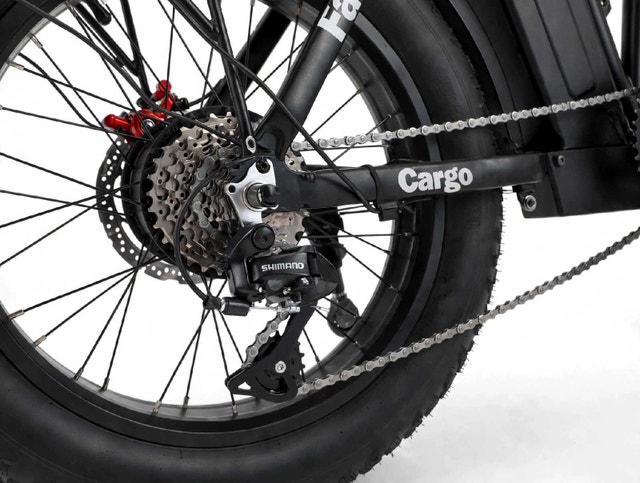 Tankx Fat Tire Folding E-Bike - photo 2