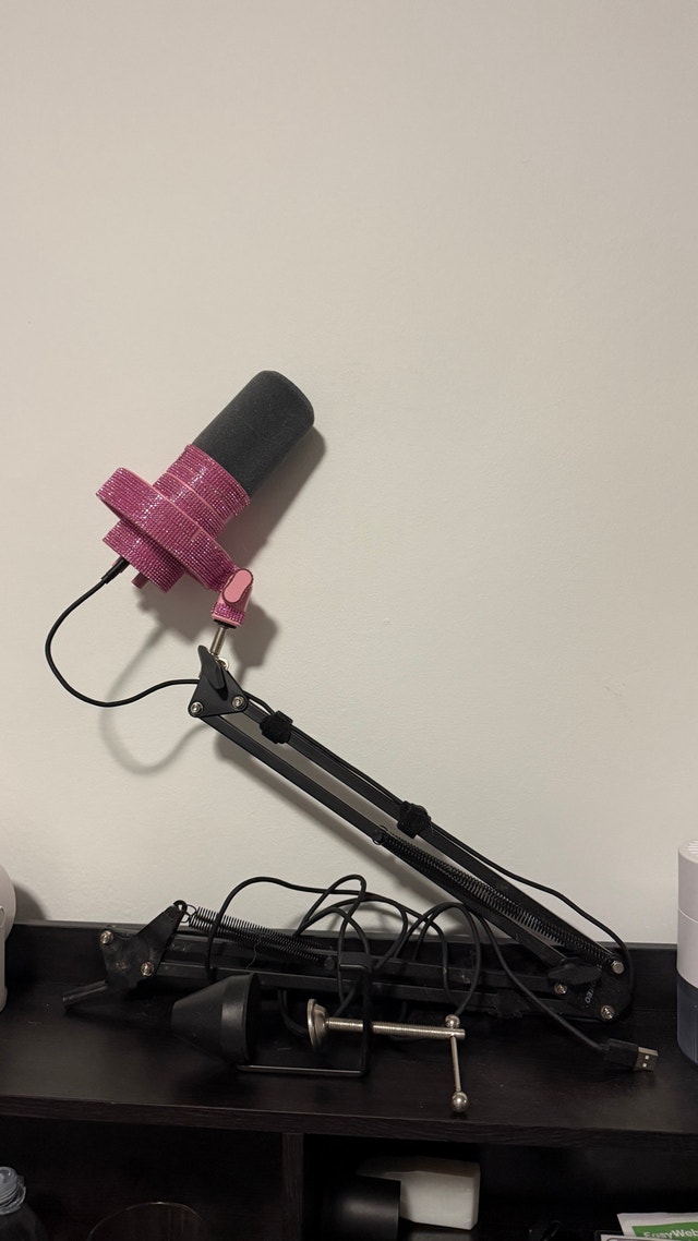 Bedazzled professional Microphone with Boom Arm