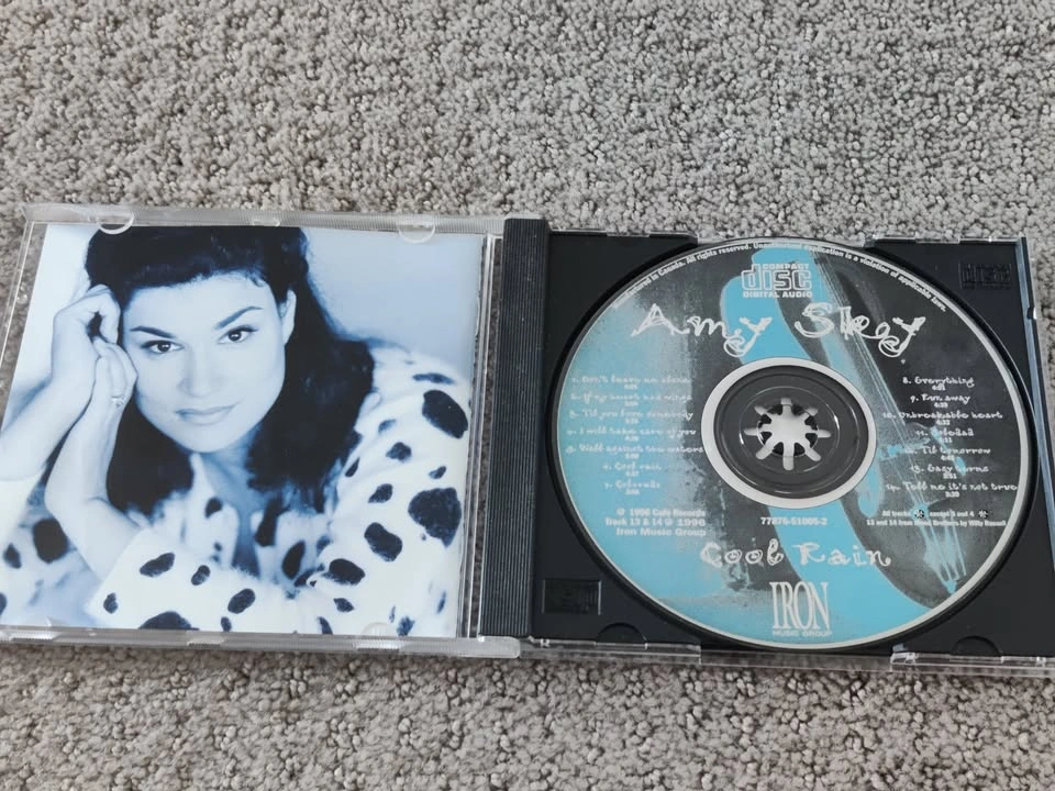 Amy Sky - Cool Rain - Audio Country Pop Music CD Album - photo 2