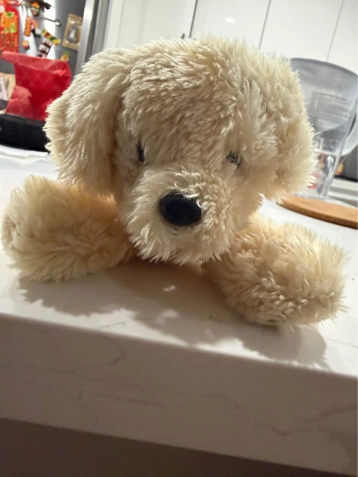 Puppy Dog New - photo 4