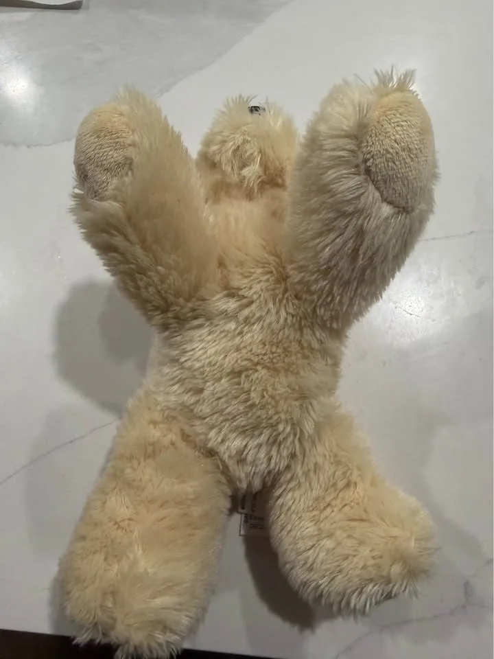 Puppy Dog New - photo 5
