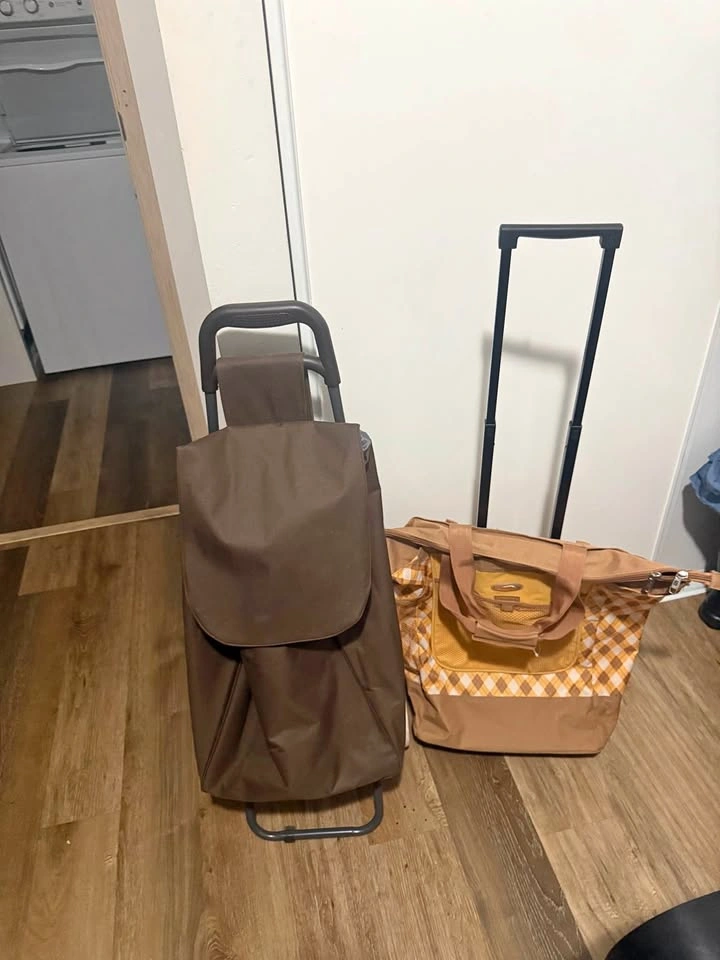 Set of 2 Rolling Shopping / Market Bags
