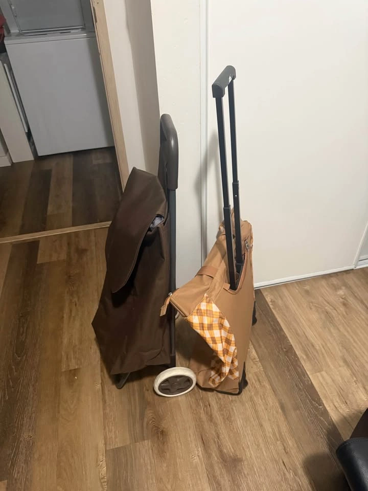 Set of 2 Rolling Shopping / Market Bags - photo 2