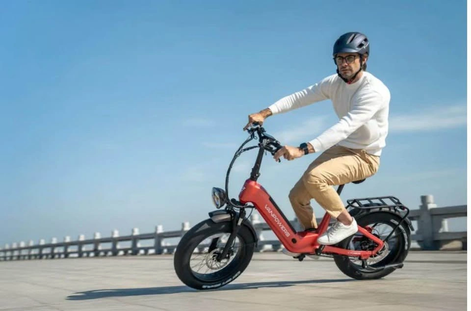 VANPOWERS 20x4.0 Fat Tire Step-Through Electric Bike - photo 4