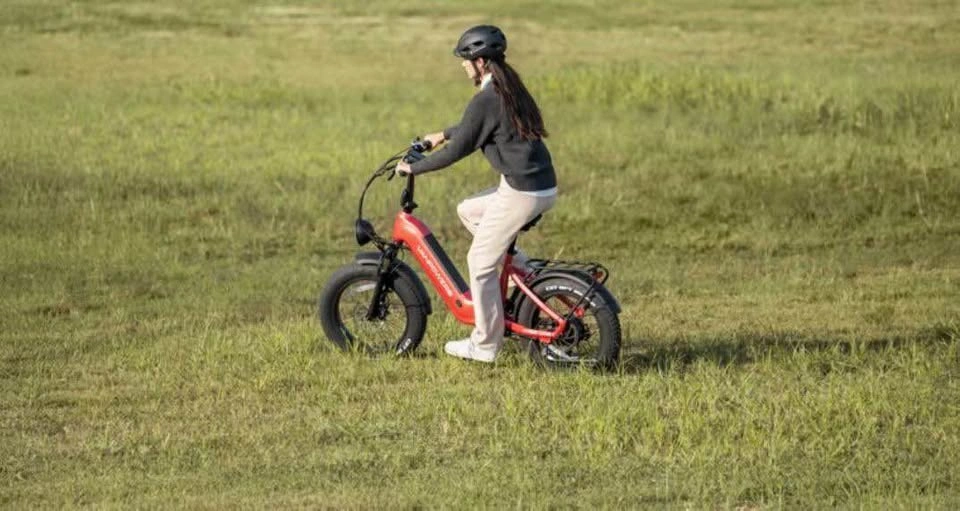 VANPOWERS 20x4.0 Fat Tire Step-Through Electric Bike - photo 5