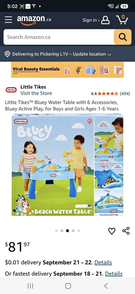 Bluey Water Table