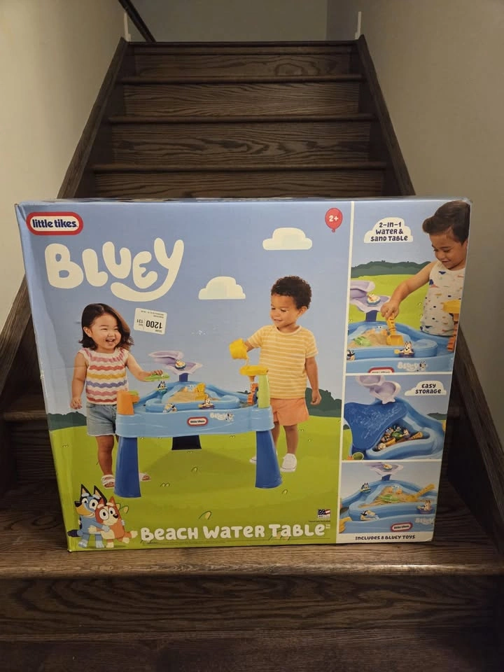 Bluey Water Table - photo 4