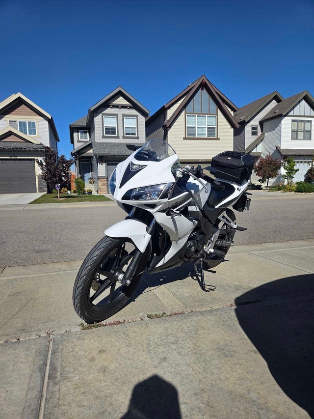 2008 Honda CBR 125R - photo 4