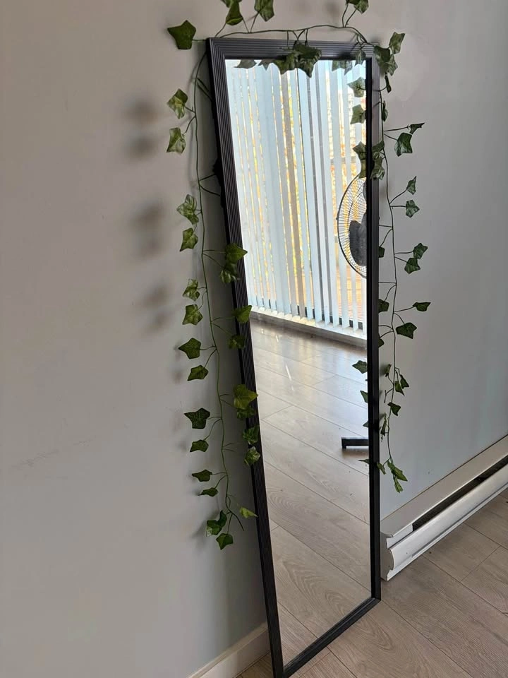 Black Full Length Mirror