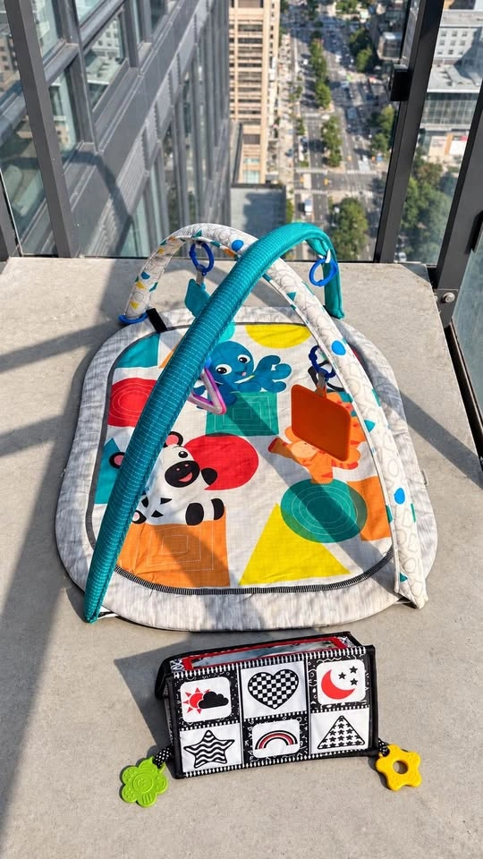 Baby Einstein Activity Gym & Tummy Time Play Mat - photo 4