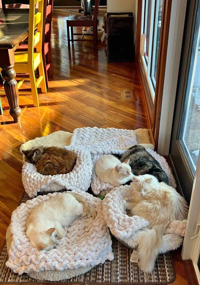 Handmade Chunky Cat Bed