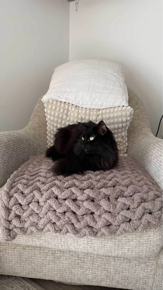 Handmade Chunky Cat Bed - photo 5