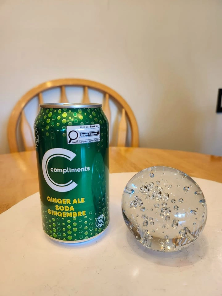 Clear Art Glass Paperweight with Interior Bubbles - photo 2