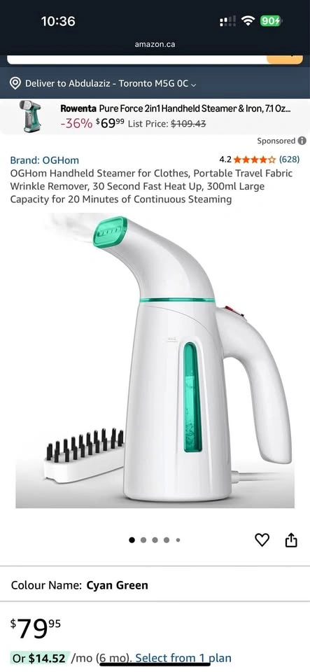 Portable Clothes Steamer – New