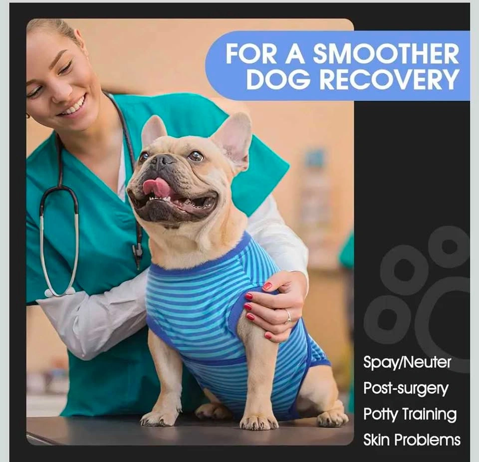Dog Recovery Suit- XXL - photo 3