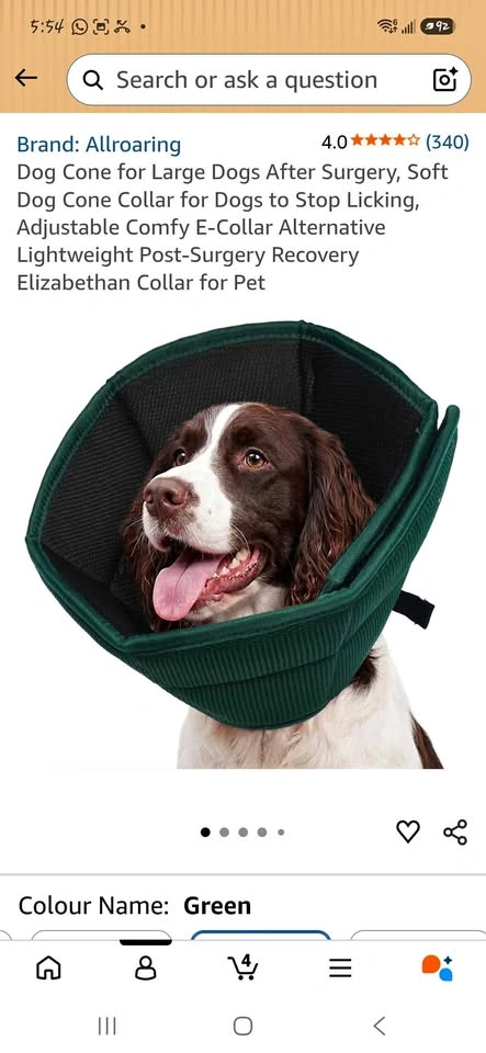 Dog Recovery Cone