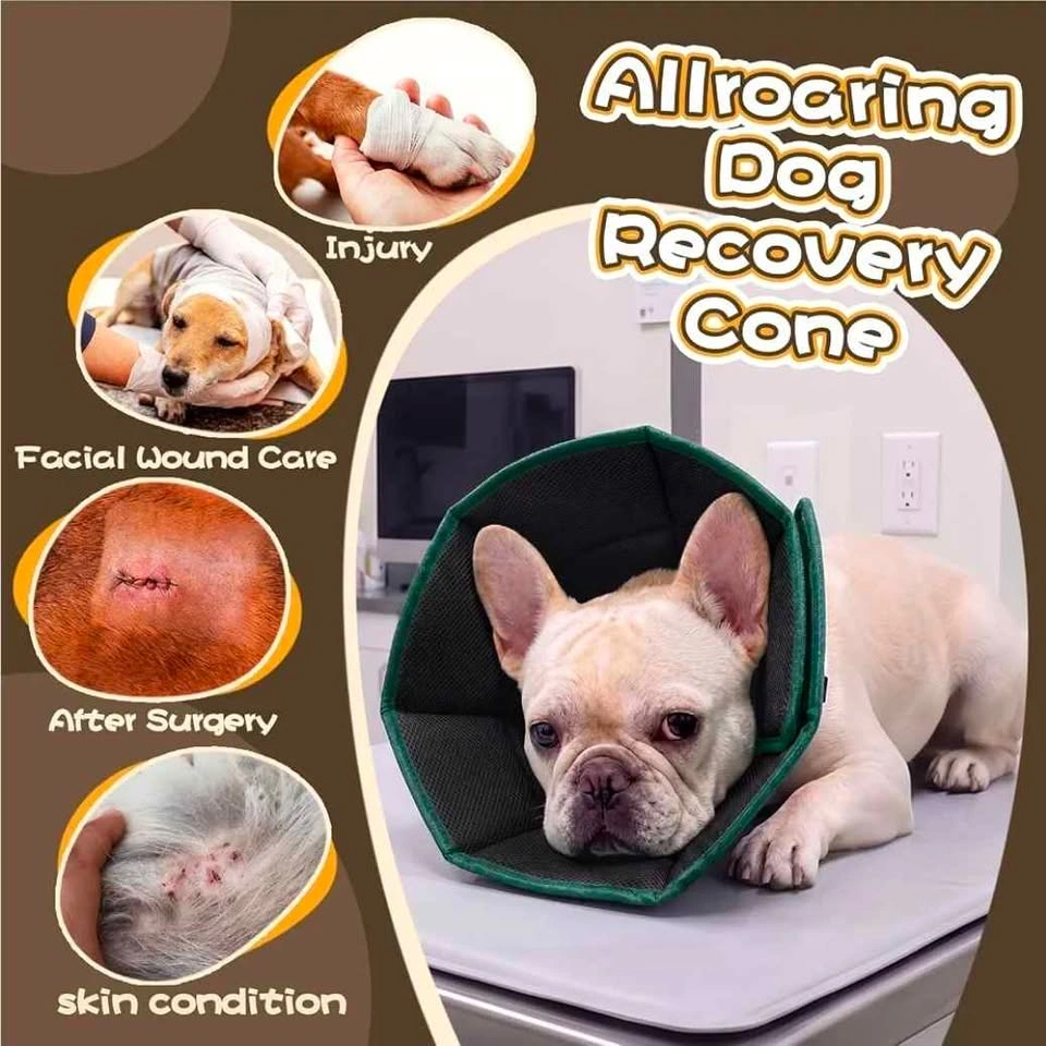 Dog Recovery Cone - photo 2