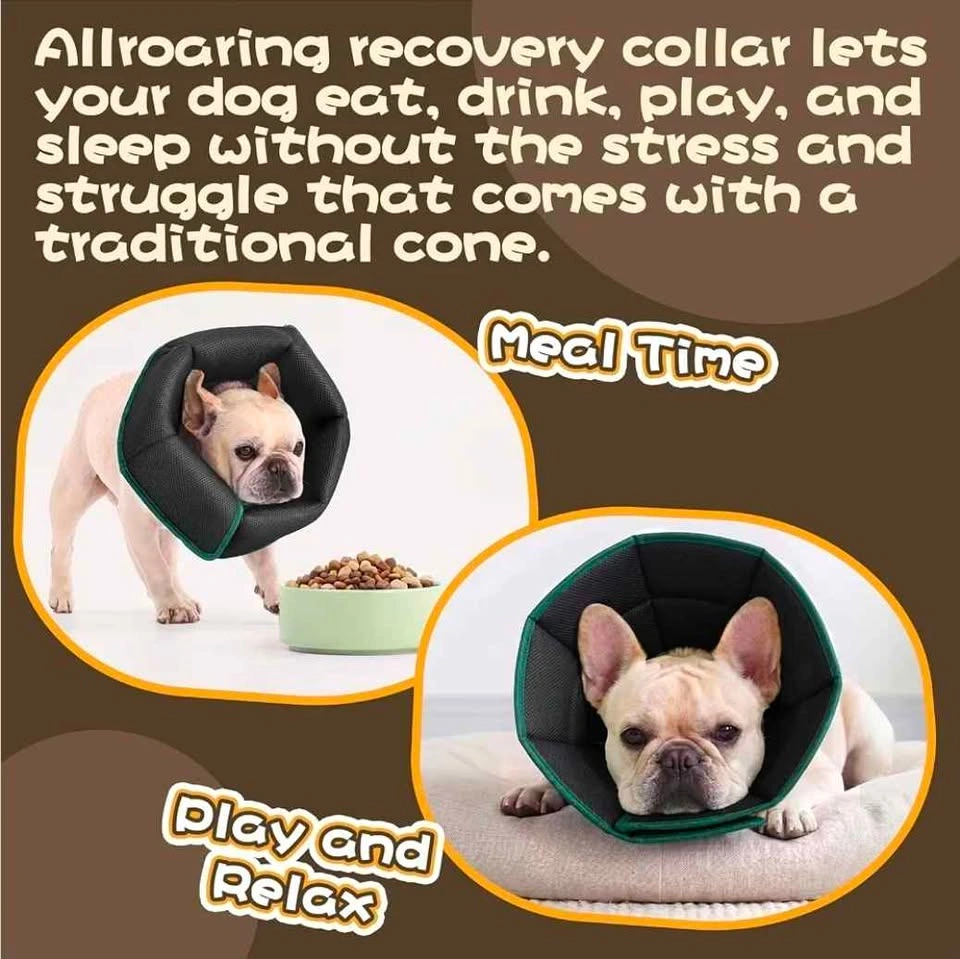 Dog Recovery Cone - photo 3