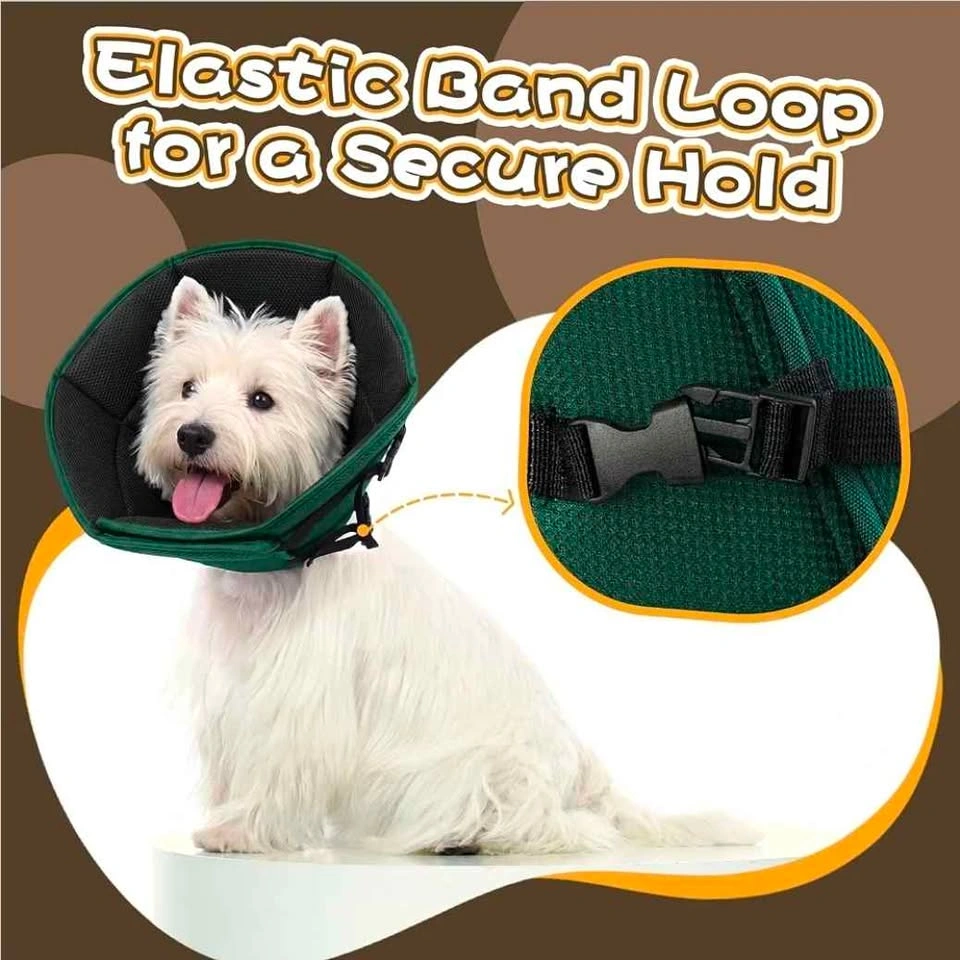 Dog Recovery Cone - photo 4