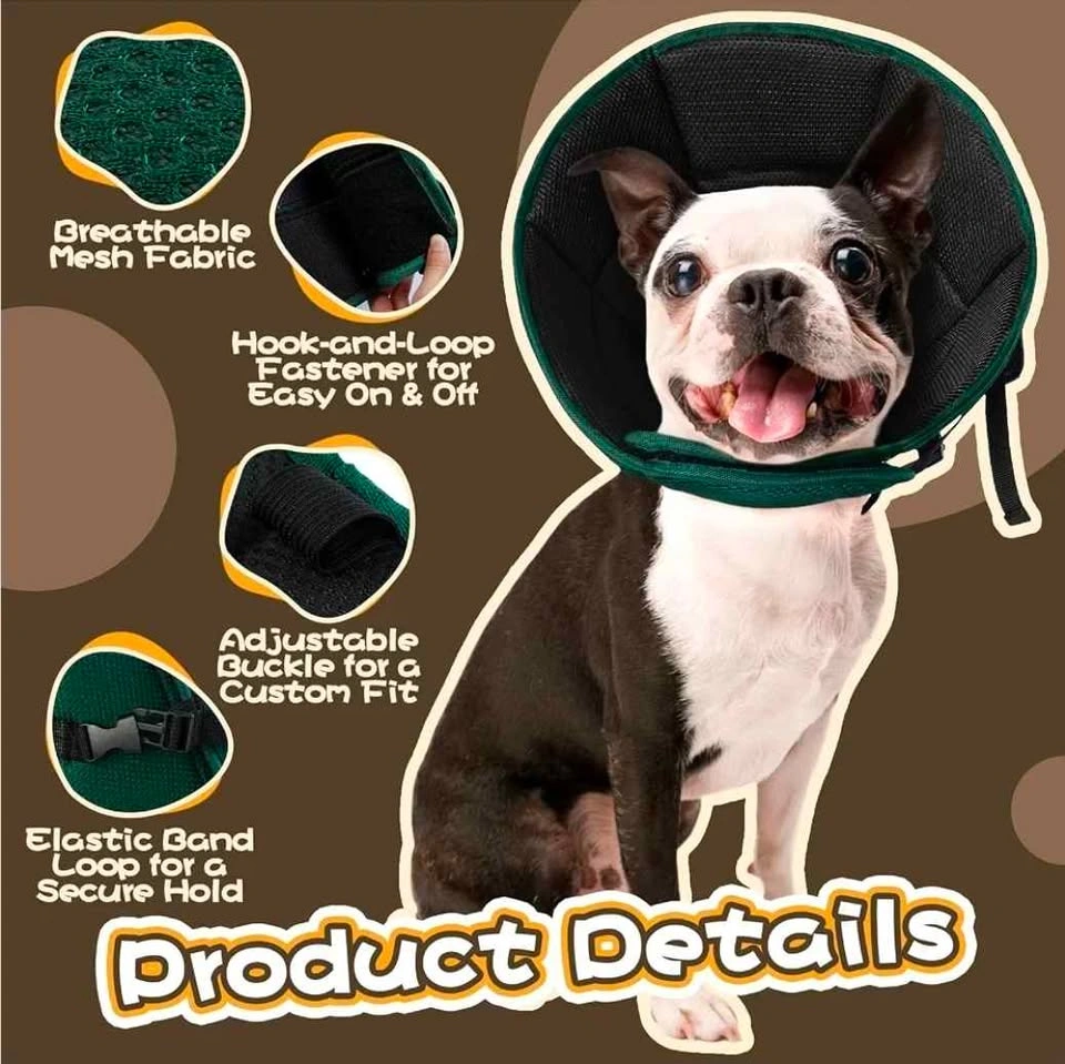 Dog Recovery Cone - photo 5
