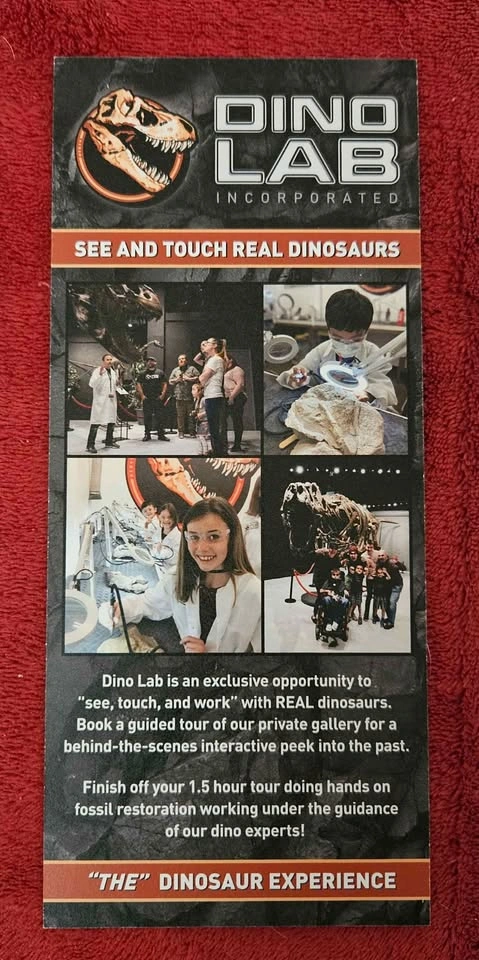 Dino Lab Voucher for 4 - photo 3