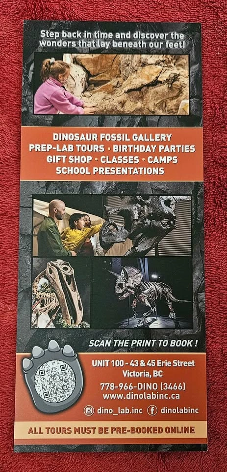 Dino Lab Voucher for 4 - photo 4