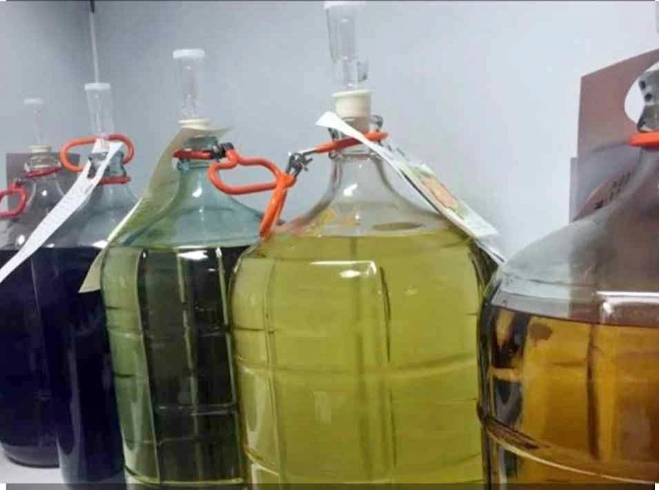 Ferment on Premise business