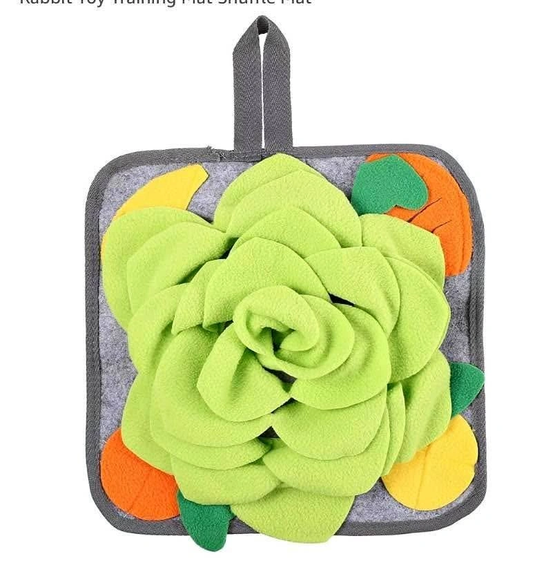 Rabbit training mat Pet Interactive