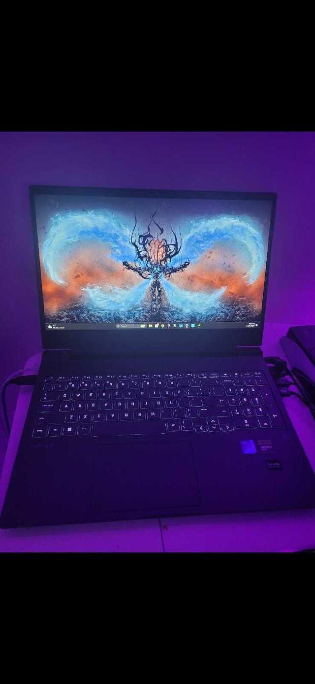 I7-13700H RTX 4060 Hp Victus 16 Gaming Laptop
