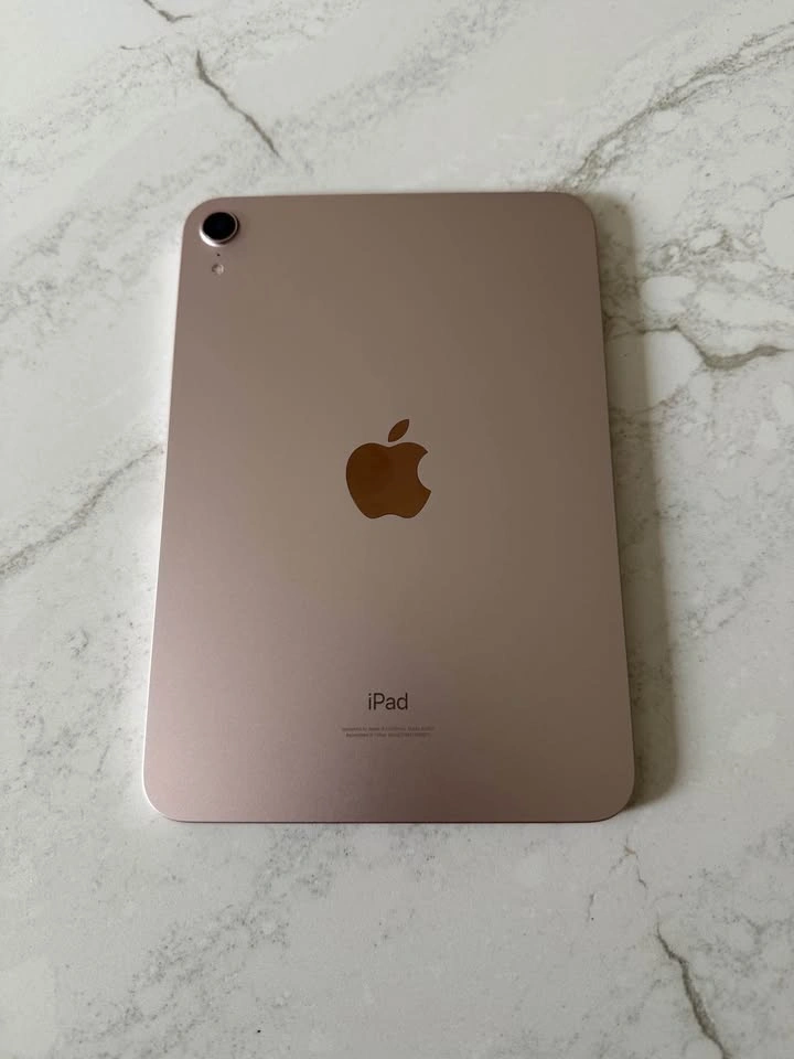 iPad mini 6th Gen 64GB Wi-Fi, Pink + Apple Case - photo 2