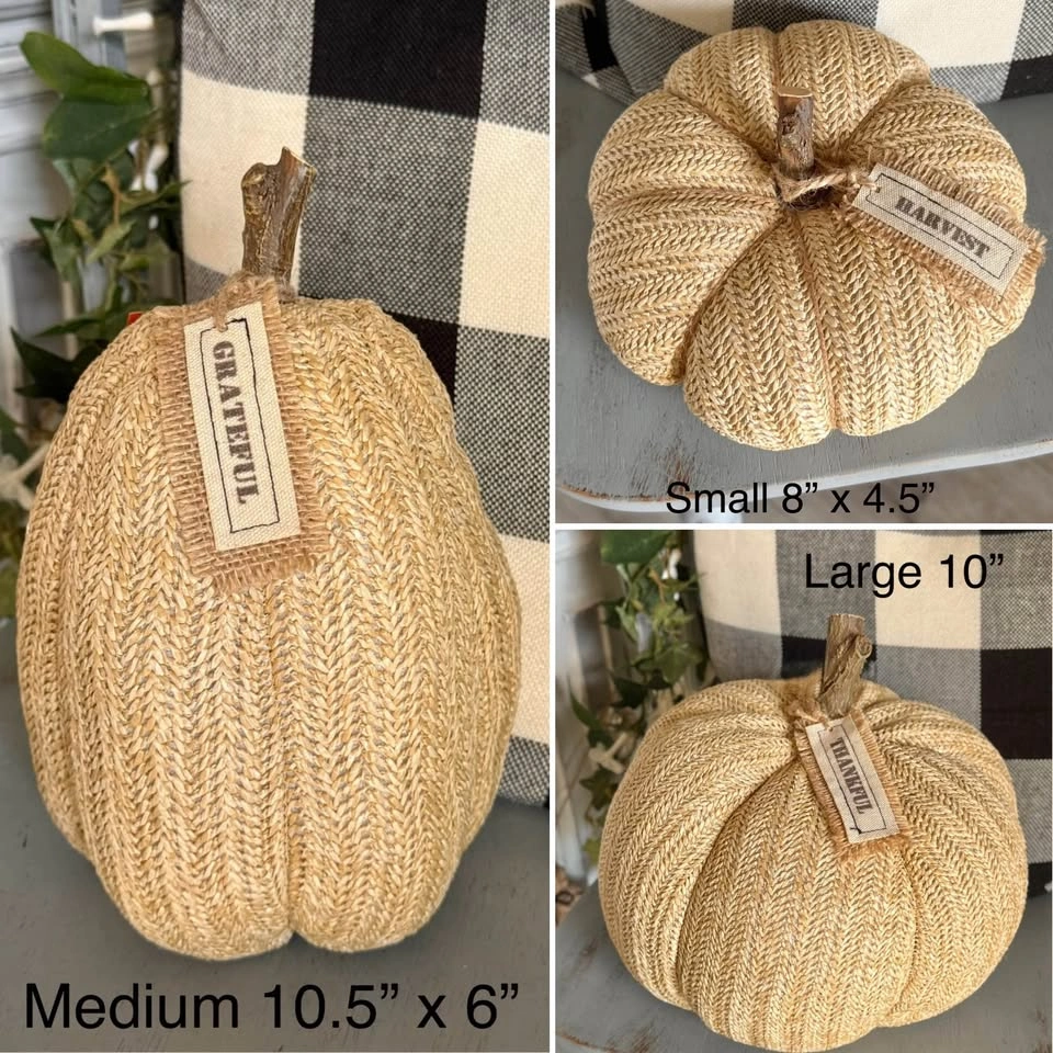 Set of 3 Rustic Farmhouse Pumpkins - photo 2