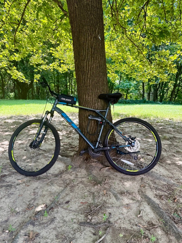 Bike - GT aggressor pro