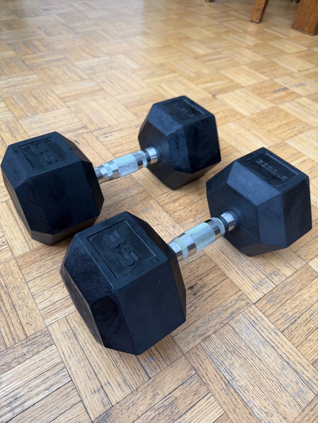 35 lb Dumbbells pair