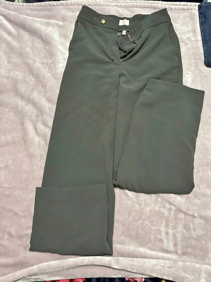 Aritzia dress pants