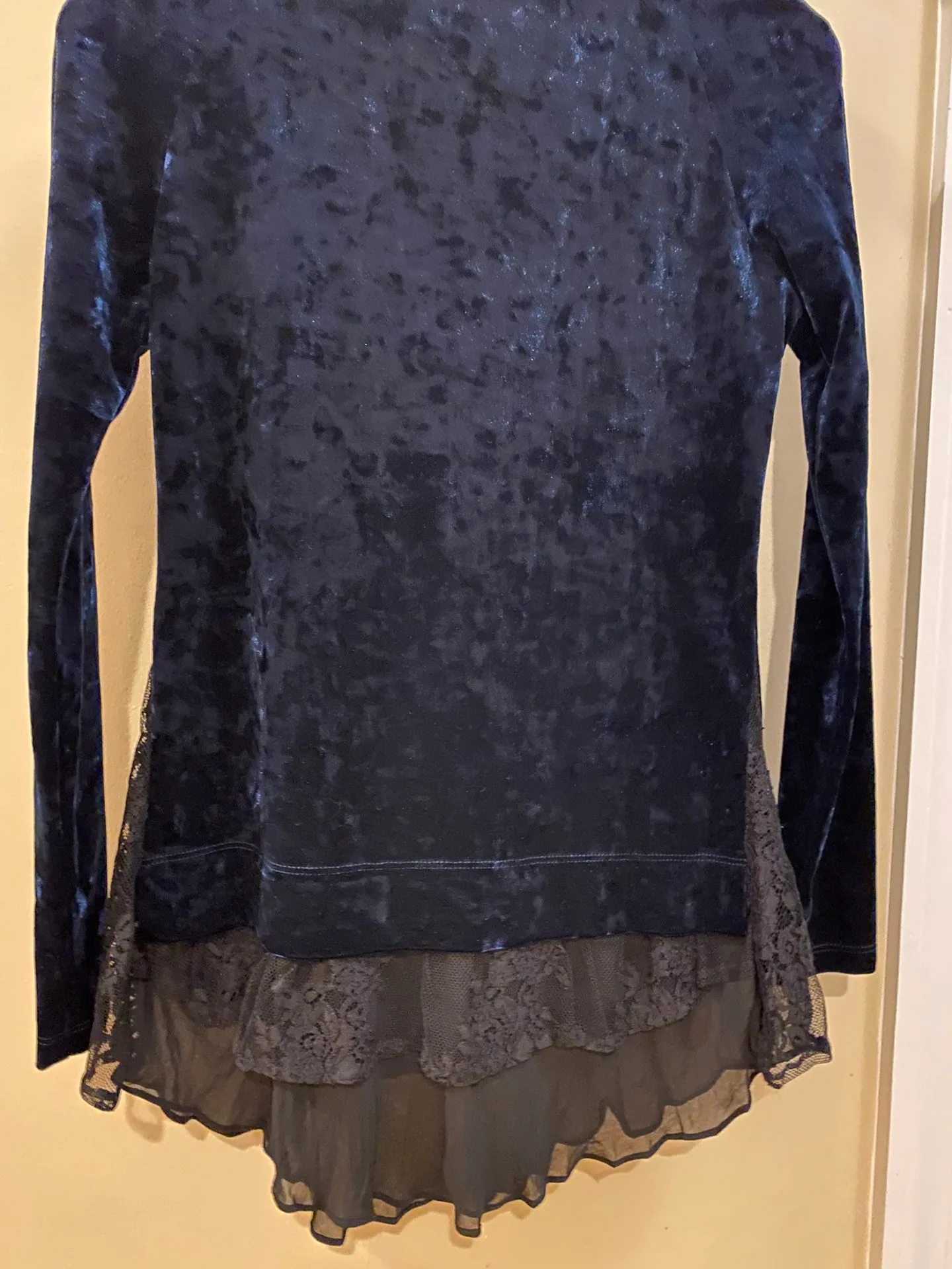 Women’s Long Sleeve Velvet/Velour Top - PRICE DROP image indicator(3)