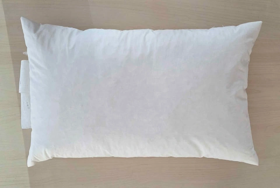 Ikea FJADRAR Down Feather Pillow