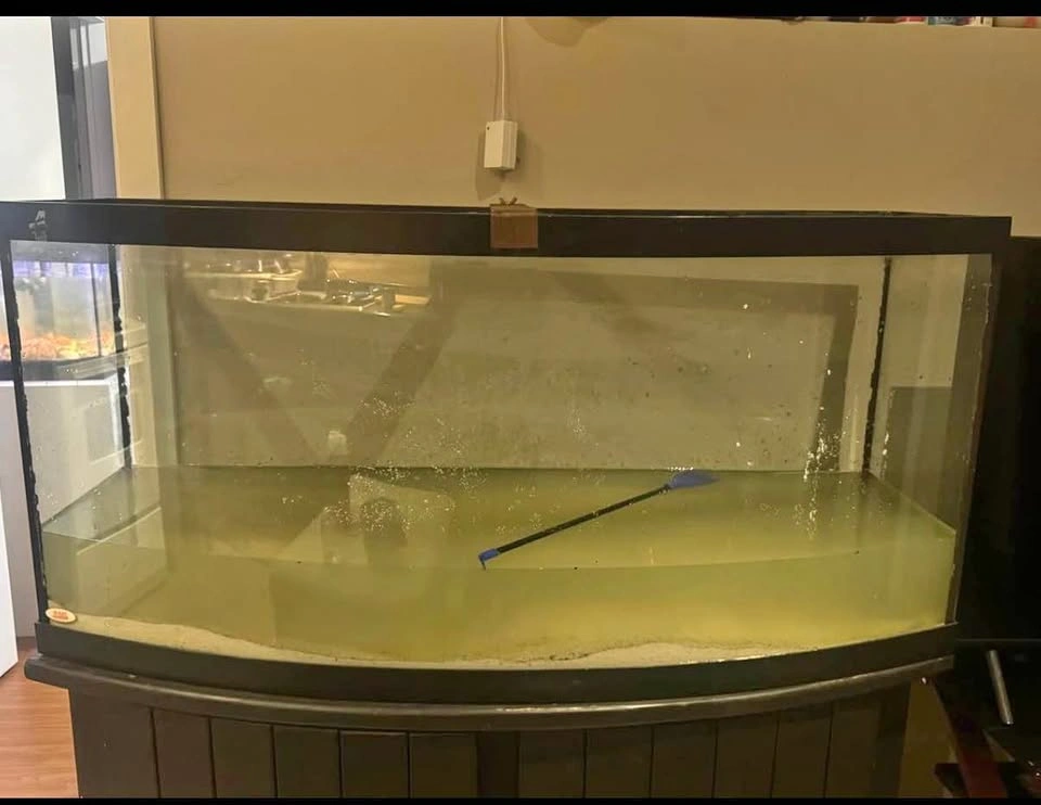 4 Foot Aquarium and Stand