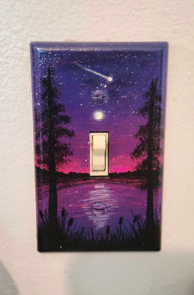 Custom Hand-Painted Wall Switch Plates – Made to Order!