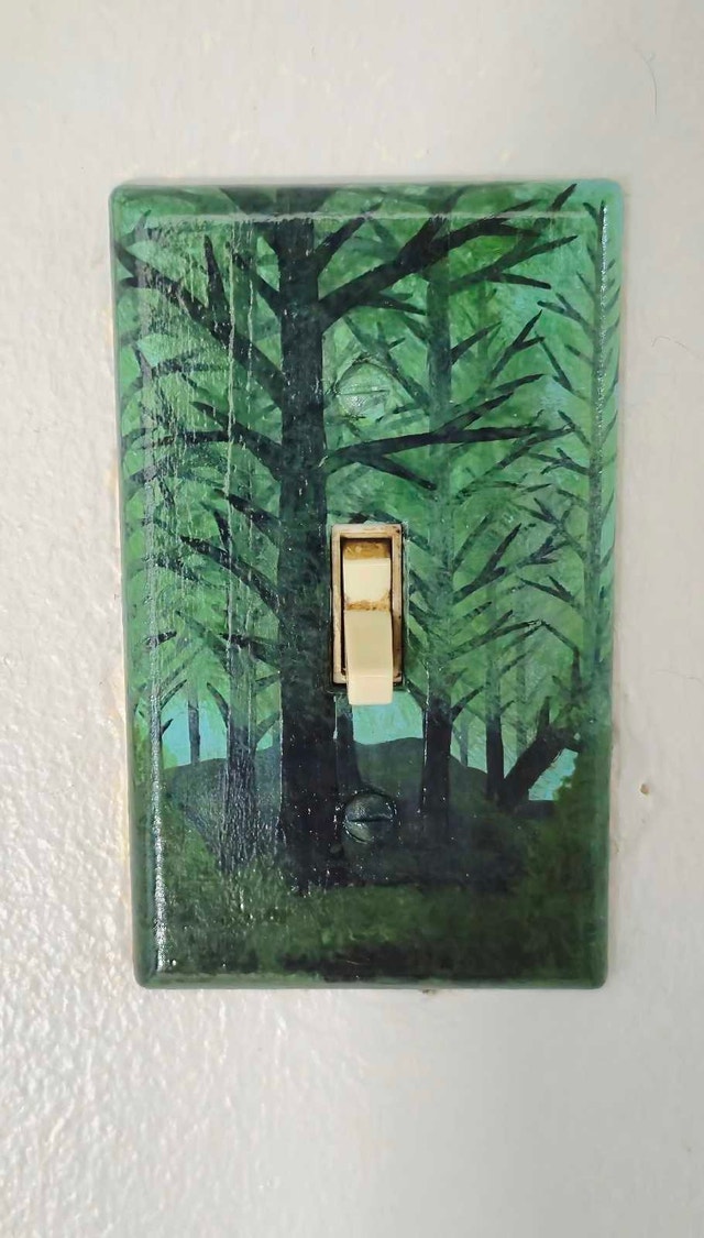 Custom Hand-Painted Wall Switch Plates – Made to Order! - photo 2